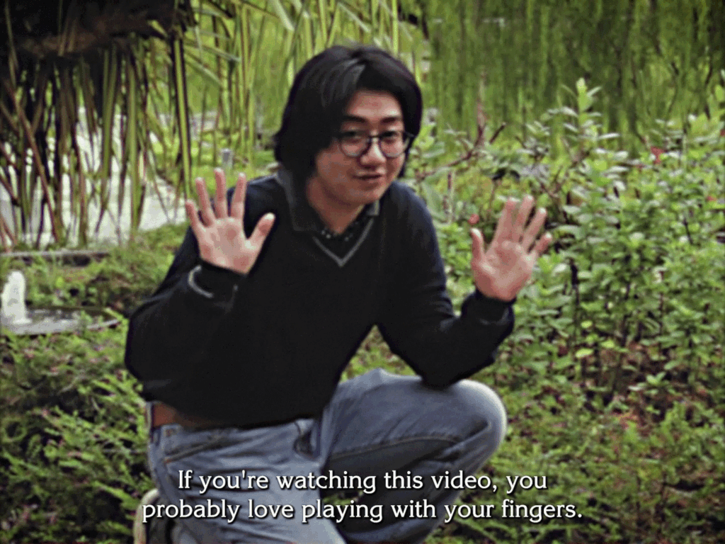 Having A Great Thyme! A Guide to Gardening in the Garden City